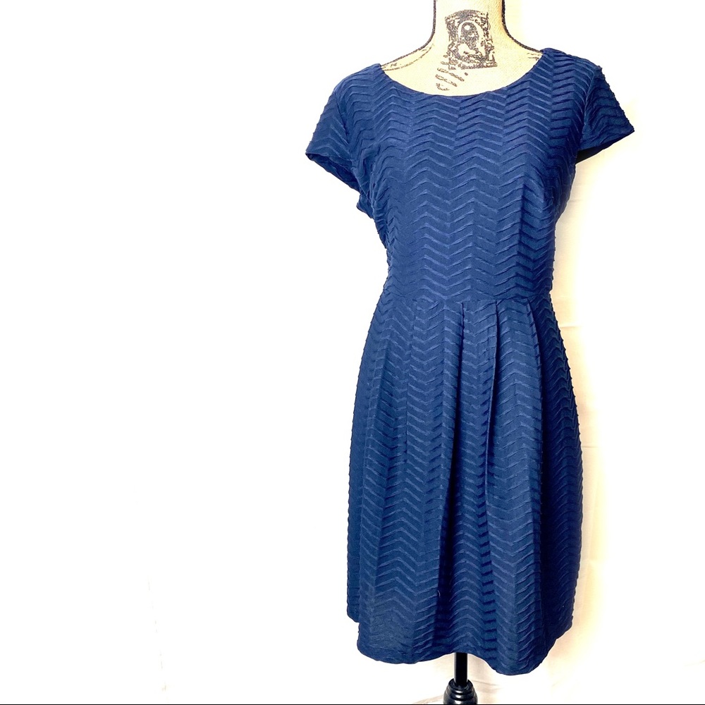 Navy Enfocus Studio dress